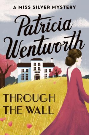 Book cover of Through the Wall