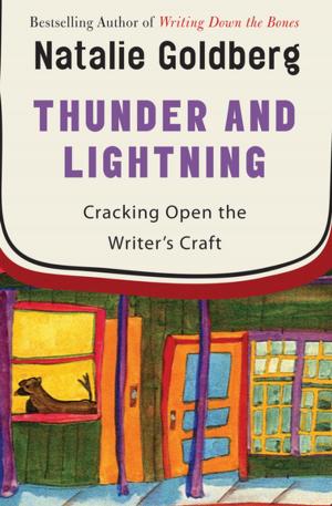 bigCover of the book Thunder and Lightning by 