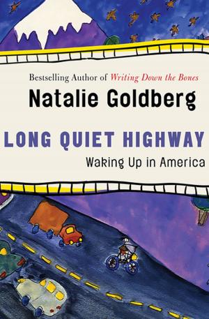 Cover of Long Quiet Highway: Waking Up in America