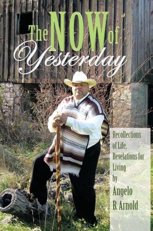 Cover of the book The Now of Yesterday by Leigh Hay