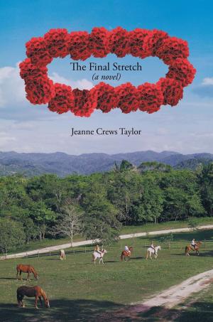 Cover of the book The Final Stretch by Hank Manley