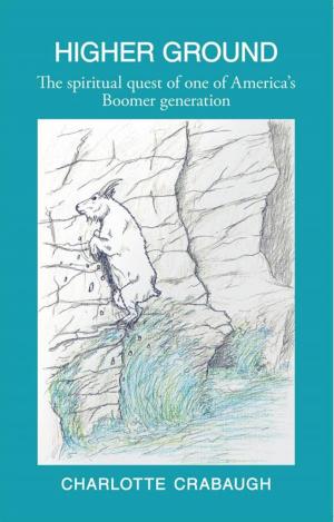 Cover of the book Higher Ground by R.E. Metzel