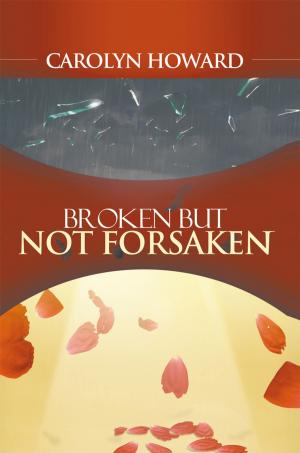 Cover of the book Broken but Not Forsaken by MR. SPICE