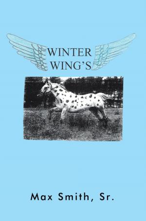 Cover of the book Winter Wings by Jameelah Xóchitl Medina