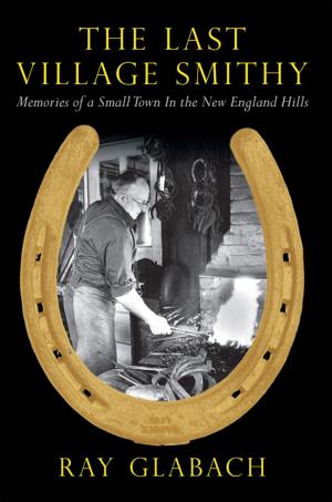 Cover of the book The Last Village Smithy by Maria Johs