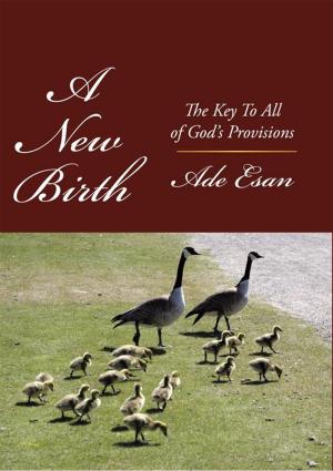 Cover of the book A New Birth by Josette B. Nicolas