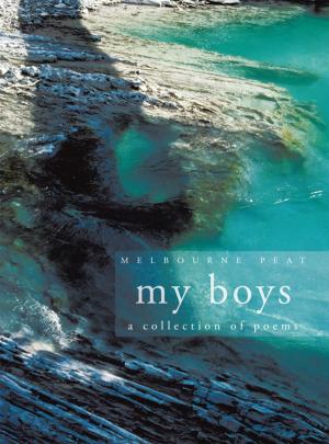 bigCover of the book My Boys by 
