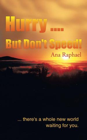 Cover of the book Hurry .... but Don't Speed! by Tom Rains