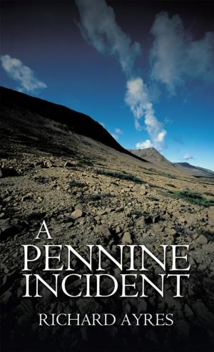 Cover of the book A Pennine Incident by Robert Morgan