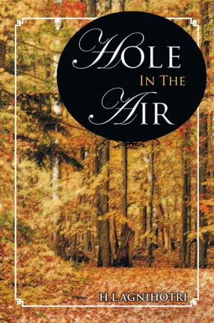 Cover of the book Hole in the Air by Ashley Aurthurton Massicotte