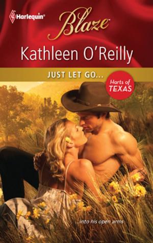 Cover of the book Just Let Go... by Raye Morgan