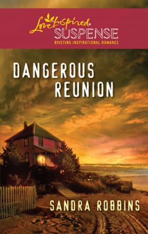 Cover of the book Dangerous Reunion by Maura Seger