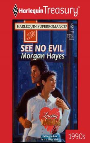 Cover of the book SEE NO EVIL by Padraig O'Morain