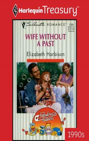 Cover of the book Wife Without a Past by Alexandria Grant