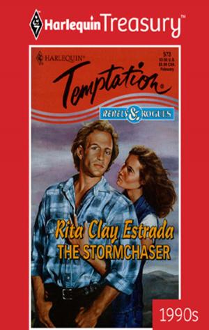 Cover of the book The Stormchaser by Krista Thoren