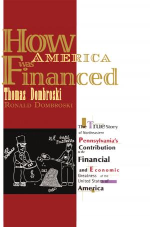 Cover of the book How America Was Financed by Randy Stevenson
