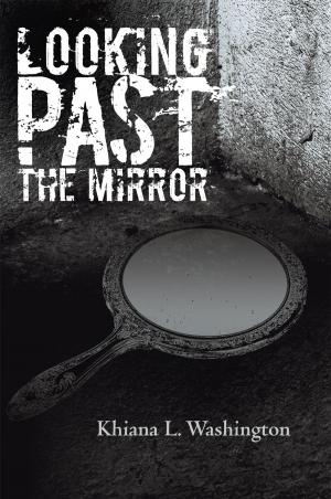 Cover of the book Looking Past the Mirror by Patrick David Daley