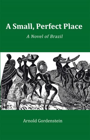 Cover of the book A Small, Perfect Place by Mike Holst