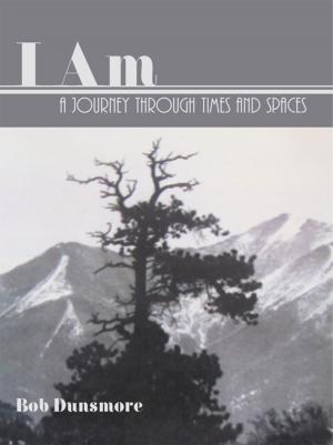 Cover of the book I Am by John B. Vinturella Ph.D.