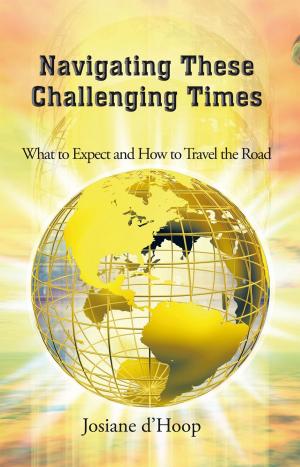 Cover of the book Navigating These Challenging Times by Vince Guaglione