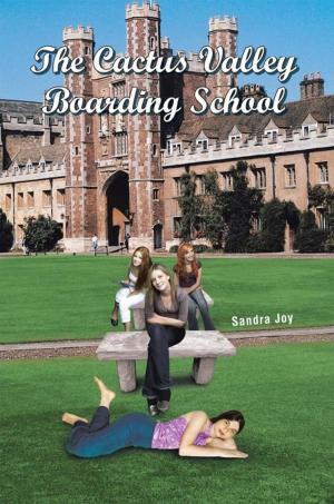 Cover of the book The Cactus Valley Boarding School by Christian Randolf Hill