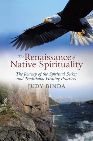Cover of the book The Renaissance of Native Spirituality by Jessy King