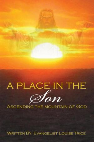 Cover of the book A Place in the Son by Mohammad Akmal, Vasundhara Raghavan