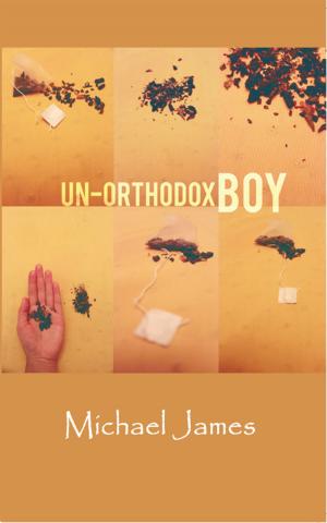 Cover of the book Un-Orthodox Boy by Wayde Bulow