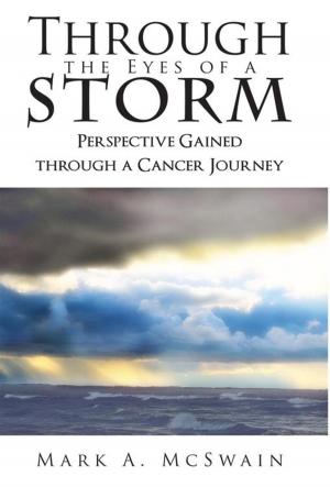Cover of the book Through the Eyes of a Storm by Cortes Bicking PhD, Kevin B. McKenzie