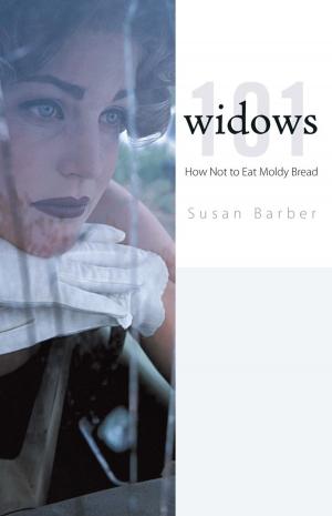 Cover of the book Widows 101 by Jack Garnett