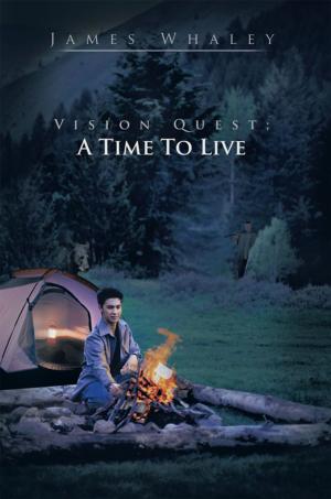 Cover of the book Vision Quest; a Time to Live by Carole McMechan Davis
