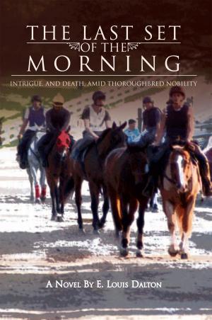 Cover of the book The Last Set of the Morning by Megan Pitts, Vicki Shankwitz