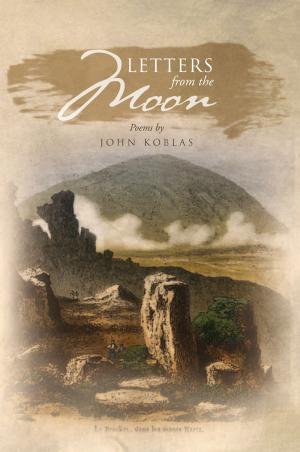 Book cover of Letters from the Moon