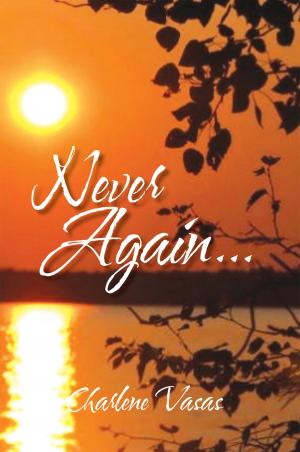 Cover of the book Never Again... by Perry A~