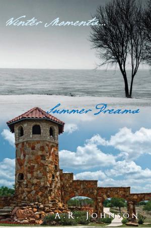 Book cover of Winter Moments...Summer Dreams