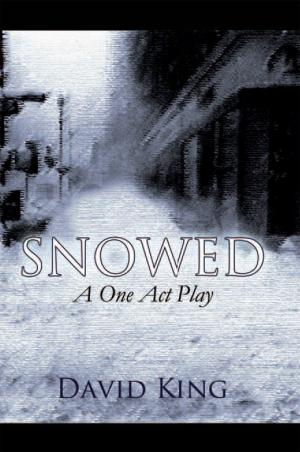 Book cover of Snowed