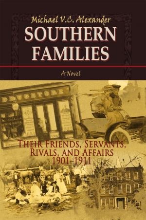 Cover of the book Southern Families by Gwendolyn Carole Tipton