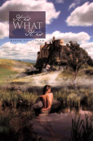 Cover of the book It Is What It Is by Lestine