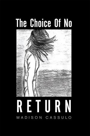 Cover of the book The Choice of No Return by Jon Garate