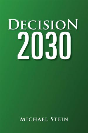 Cover of the book Decision 2030 by Madeline Freeman