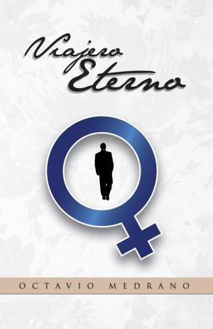 Cover of the book Viajero Eterno by Alan Chavez A.