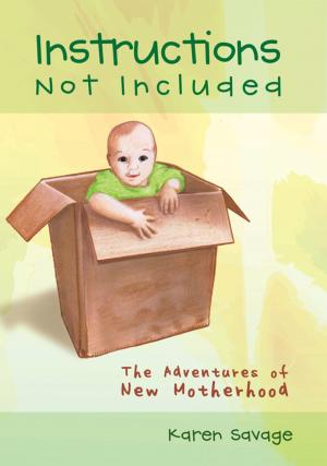 Cover of the book Instructions Not Included by Desmond Newman