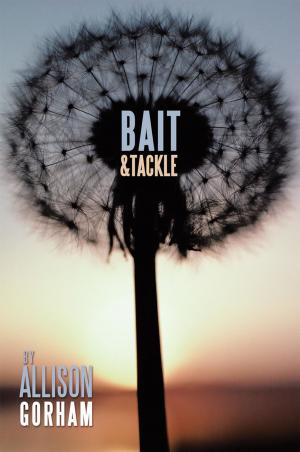 Cover of the book Bait & Tackle by christopher david petersen