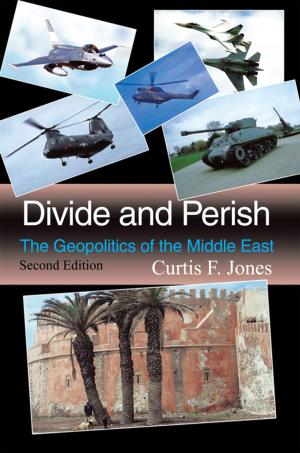 Cover of the book Divide and Perish: Second Edition by Carvaughn Cullins