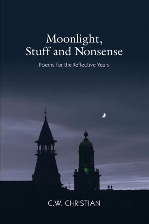 Cover of the book Moonlight, Stuff and Nonsense by Letterland