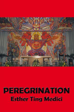 Cover of the book Peregrination by Earl P. Schmitt O.D Ed.D D.O.S.