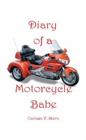 Cover of the book Diary of a Motorcycle Babe by Wayne M. Hoy, Theresa S. Ysiano