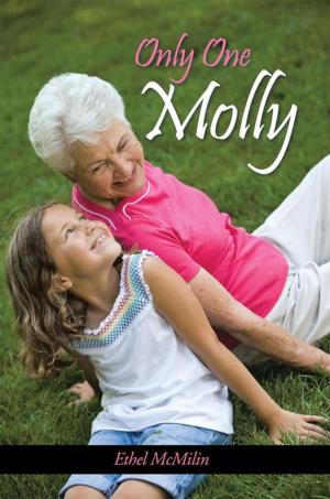 Cover of the book Only One Molly by Carmen V. Stern