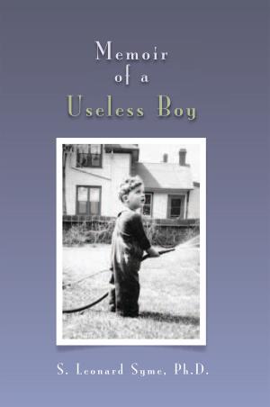 Cover of the book Memoir of a Useless Boy by Wendy Matthews