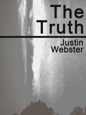 Cover of the book The Truth by Lienner Bankole